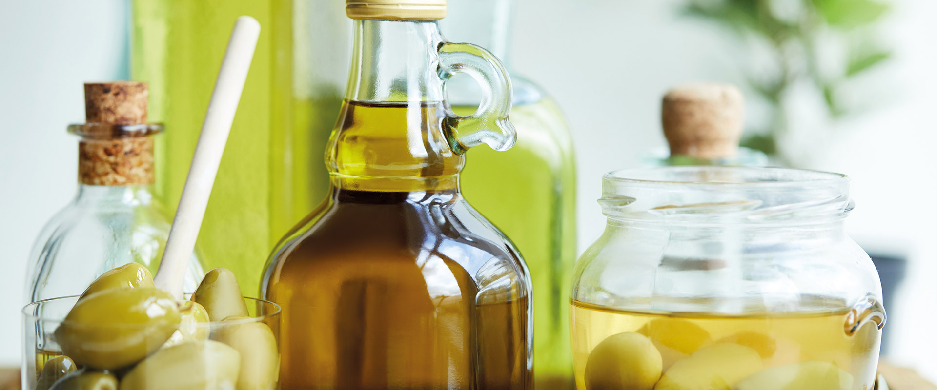 Conservazione olio di oliva – Fratelli Carli