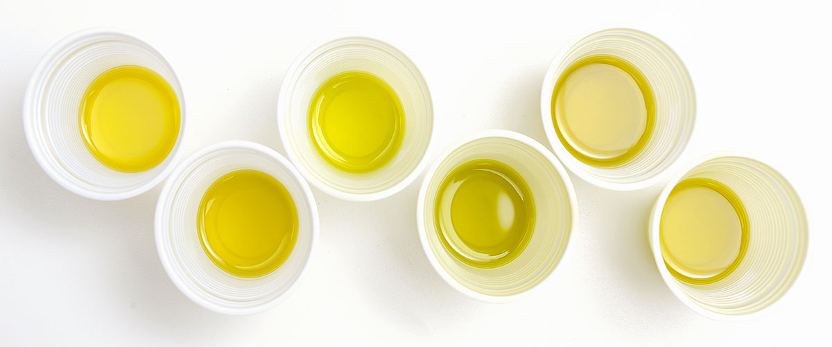Come assaggiare l'olio di oliva: la tecnica - Magazine