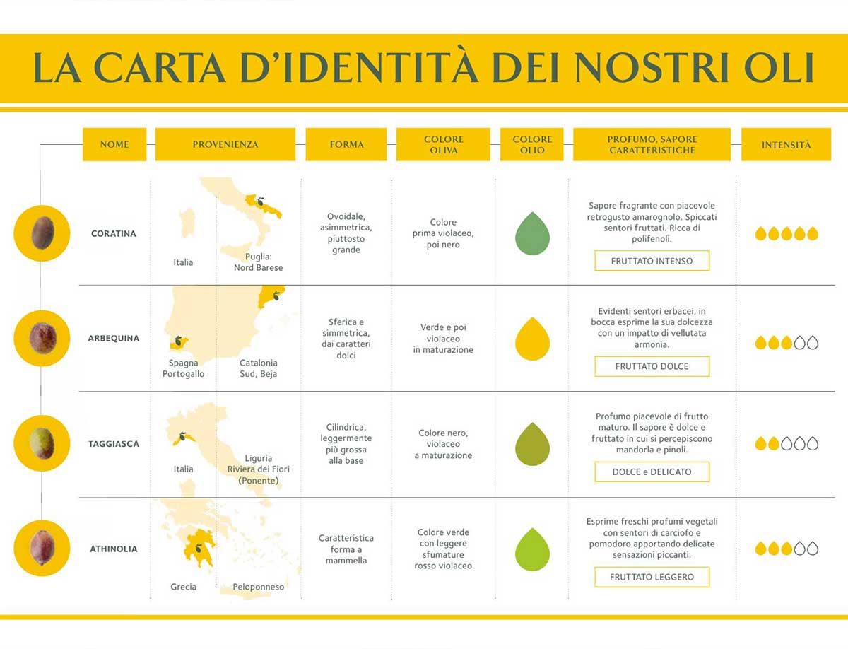 infografica degli oli assaggiati durante l'evento in Emporio