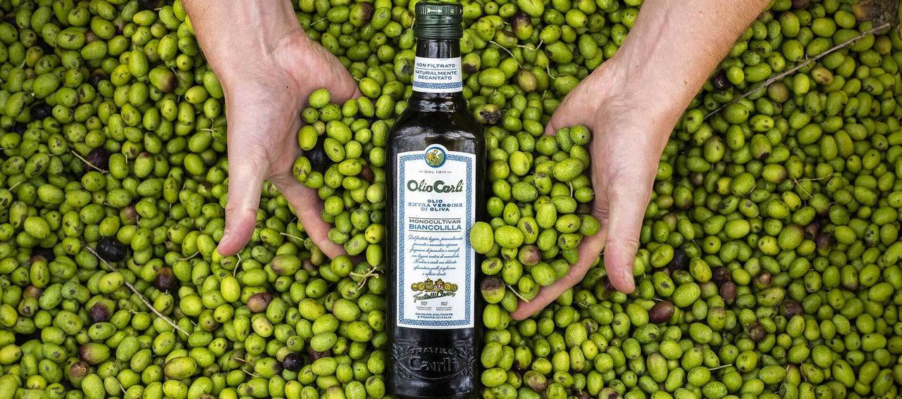 Bottiglia Olio Extra Vergine di Oliva in letto di Olive 