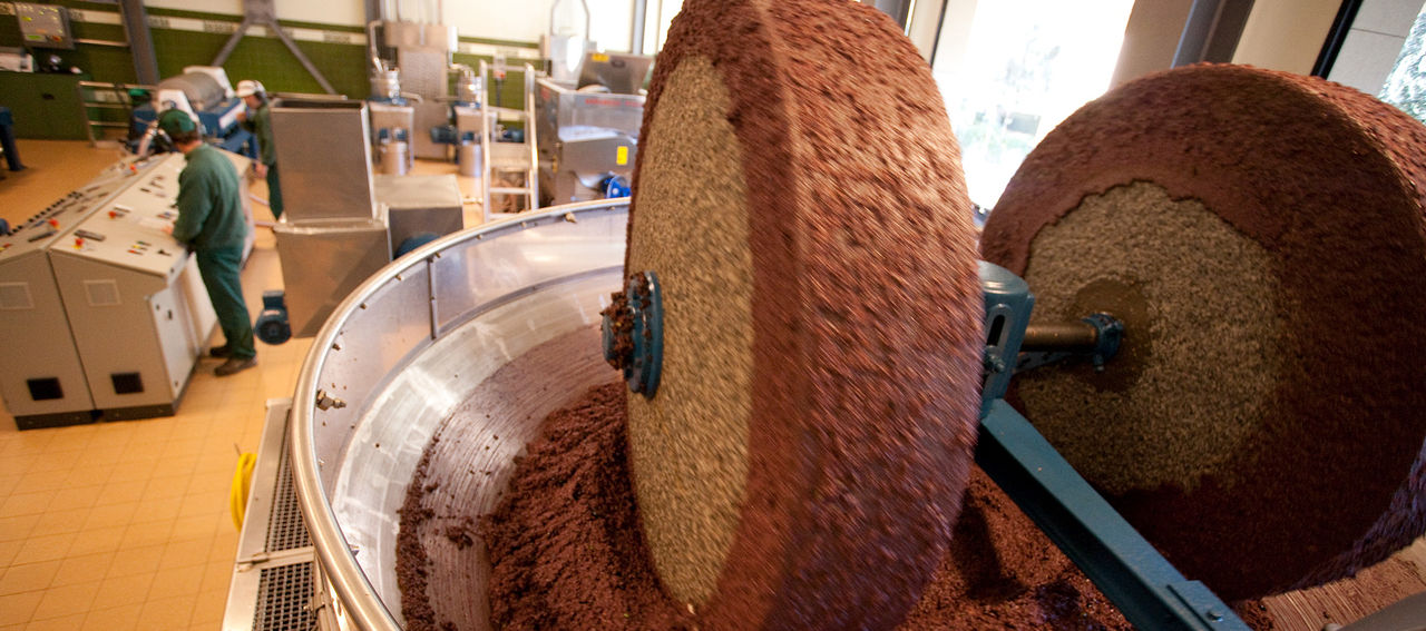 Fase di frangitura delle olive nel frantoio Fratelli Carli