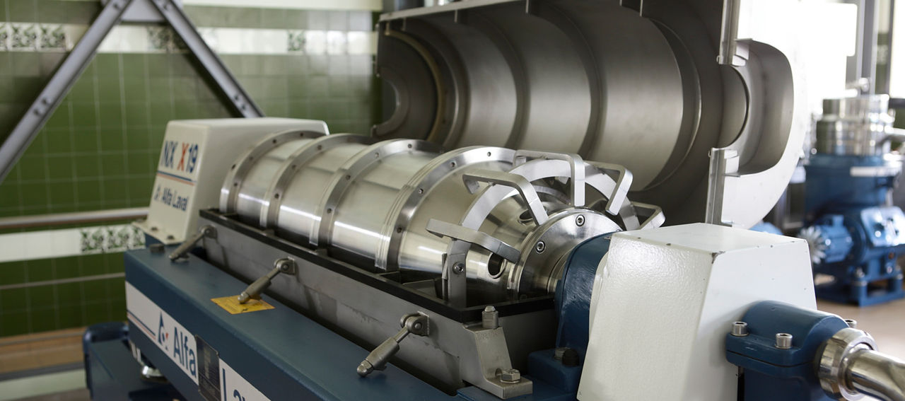Fase di centrifugazione nel frantoio Fratelli Carli