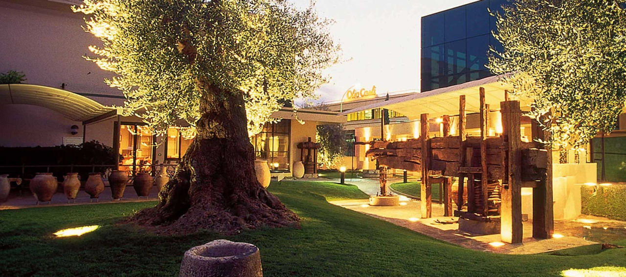 Albero speciale del Museo