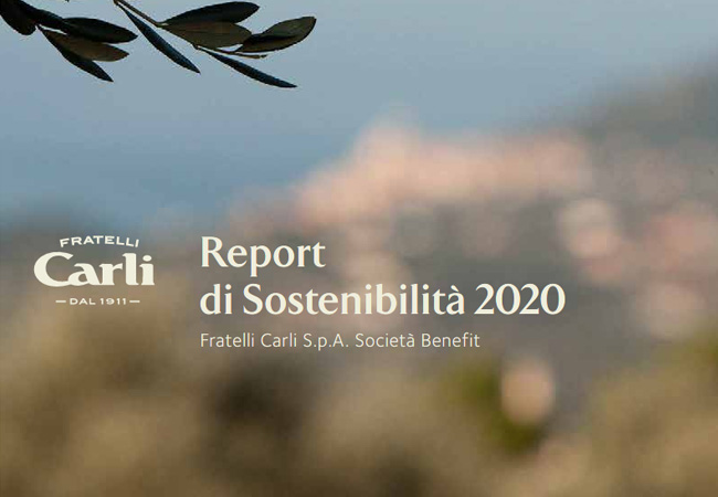 Report di Sostenibilità Esercizio 2020