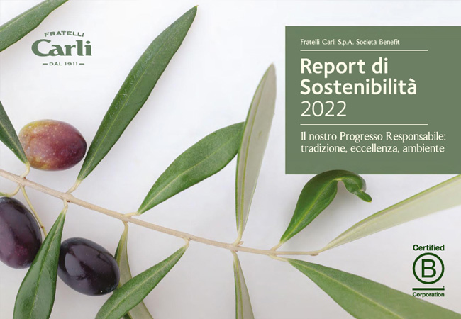 Report di Sostenibilità Esercizio 2022