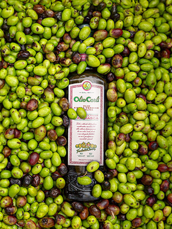 L'arte dell'Olio Carli