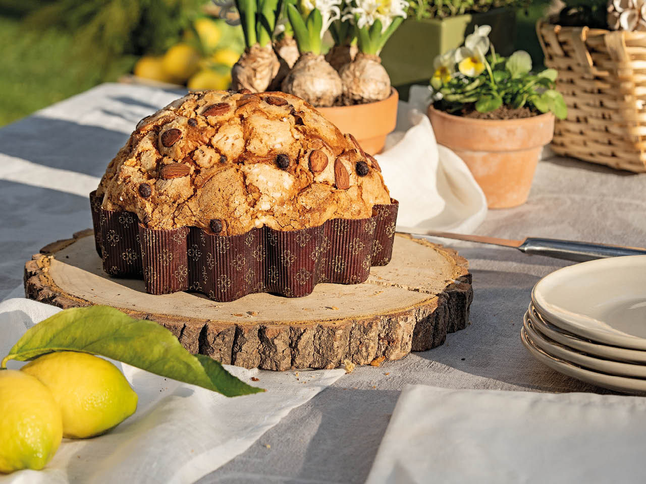 Fiore di Pasqua Cioccolato