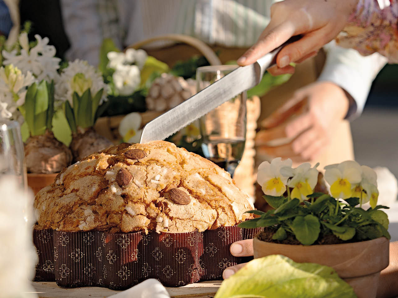 Fiore di Pasqua Classico