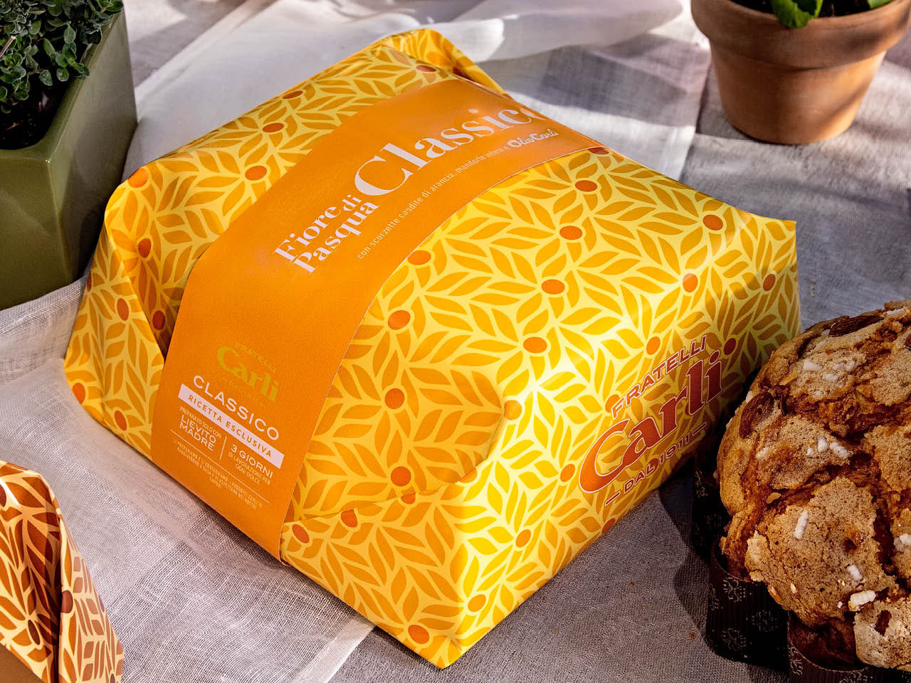 Fiore di Pasqua Classico