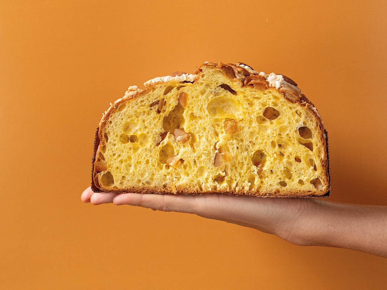 Fiore di Pasqua Classico a metà