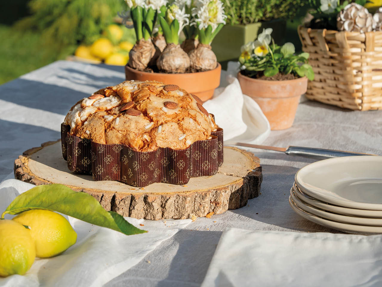 Fiore di Pasqua Pesca