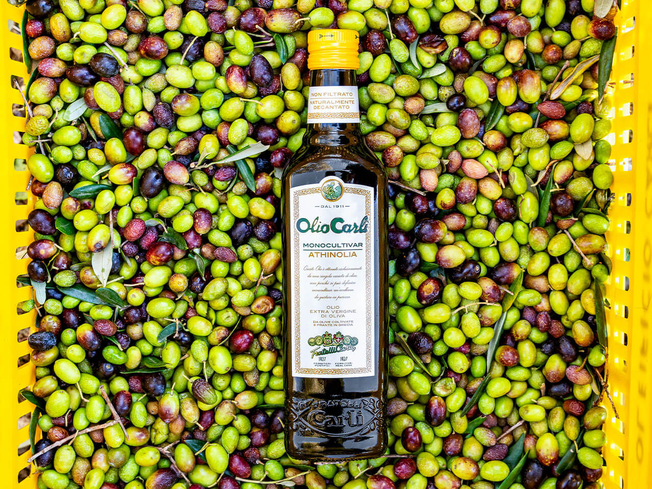 Bottiglia di Athinoia nelle olive appena raccolte