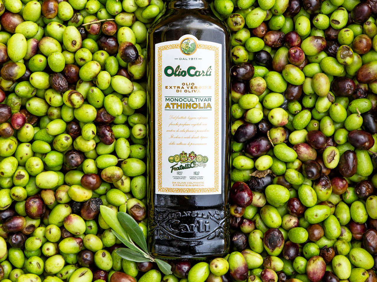 Una bottiglia di OLIO CARLI Extra Vergine monocultivar Athinolia appoggiata su un letto di Olive
