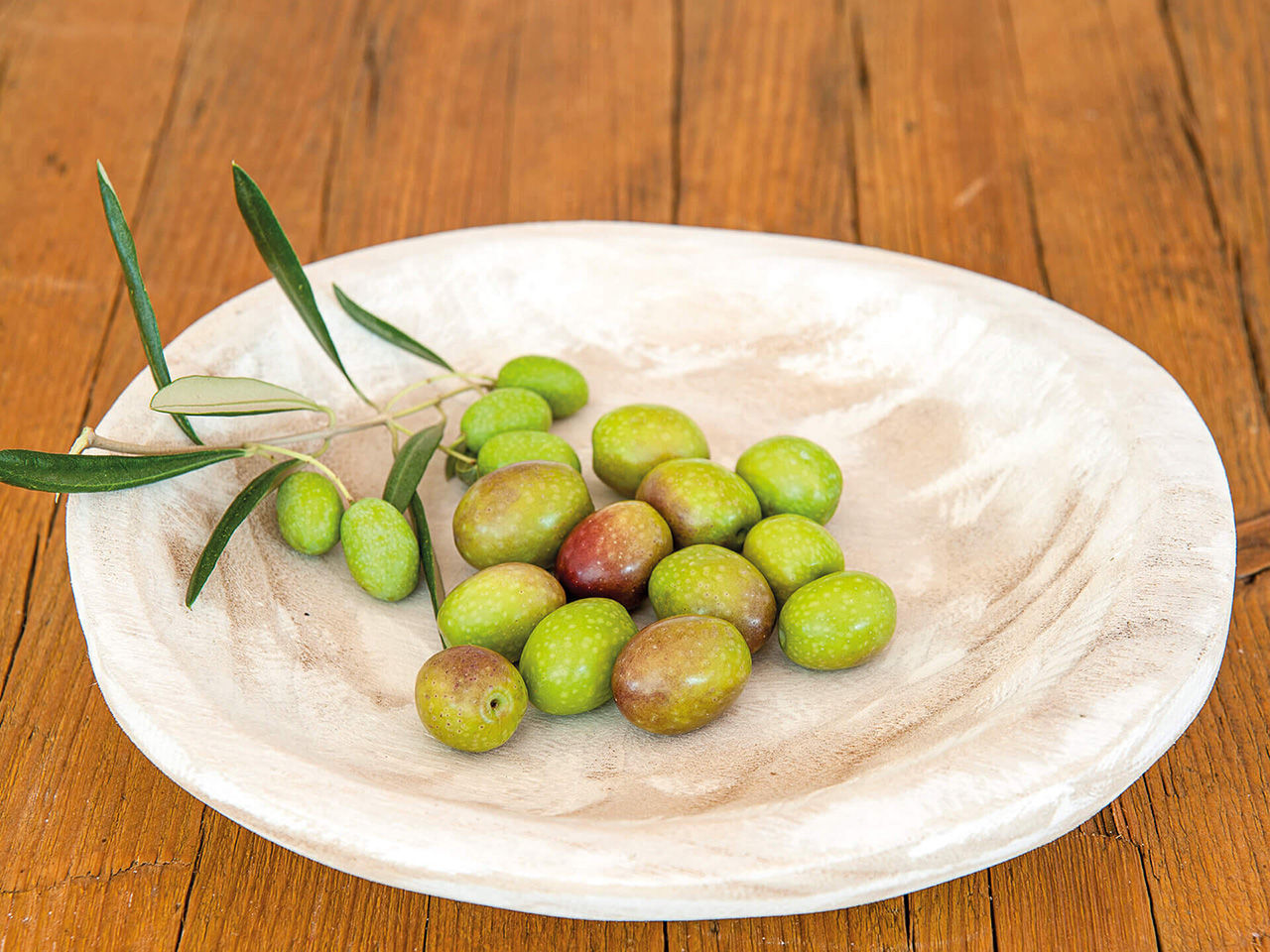 olive