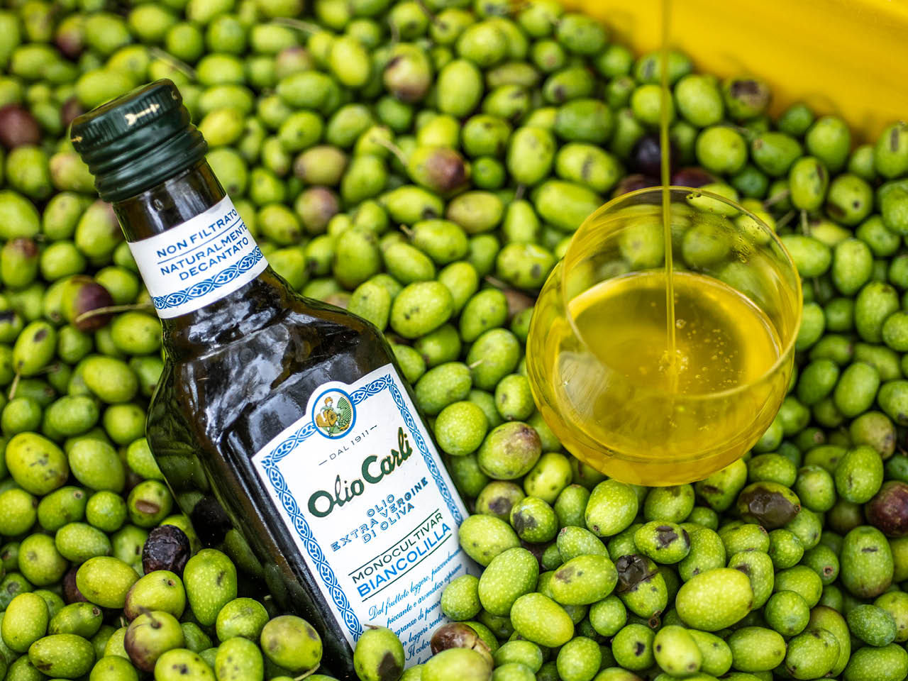Bottiglia di Olio Extra Vergine di Oliva Monocultivar Biancolilla in una cassetta piena di olive 