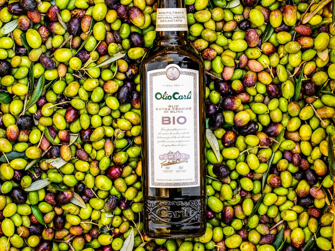 Una bottiglia di OLIO CARLI Extra Vergine BIO appoggiata su un letto di Olive