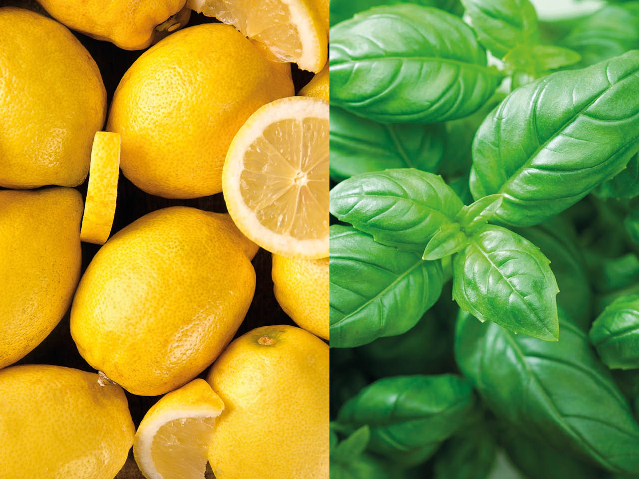 Limoni e Basilico