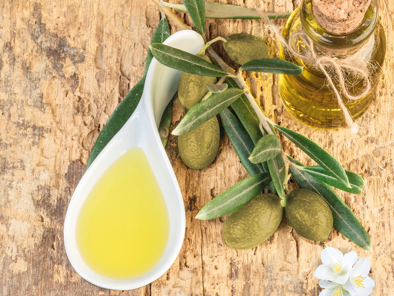 Ciotole con olio