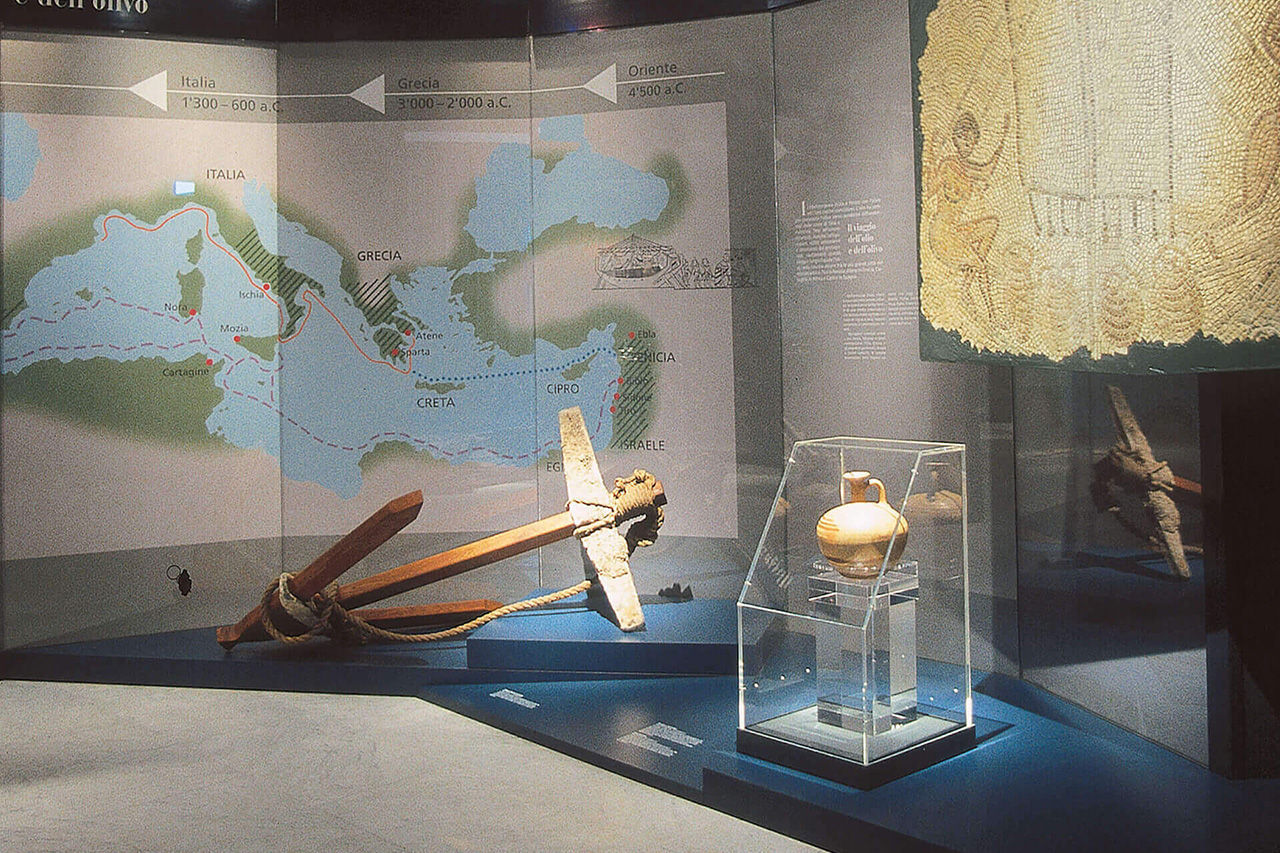 Sala del Museo dell'Olivo