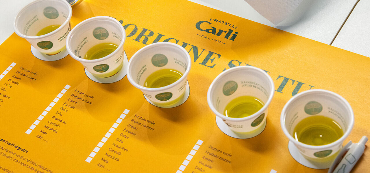 bicchieri assaggio olio